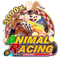 ANIMAL RACING - TURBOBET168