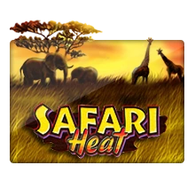 Safari Heat - TURBOBET168