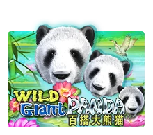 Wild Giant Panda - TURBOBET168
