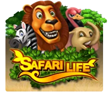Safari Life - TURBOBET168