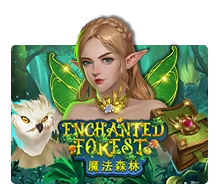 Enchanted Forest - TURBOBET168